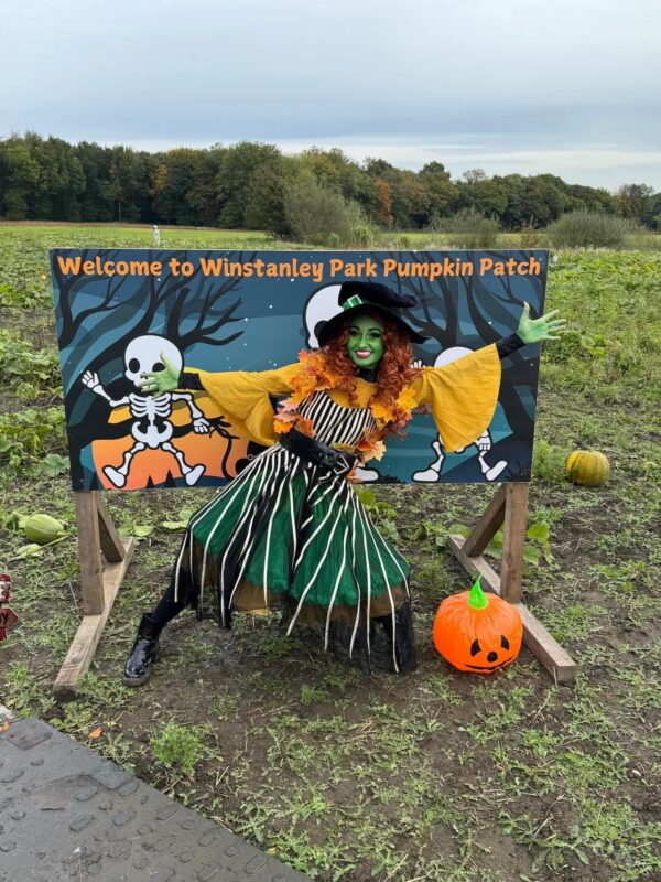 Willow's Woodland Quest