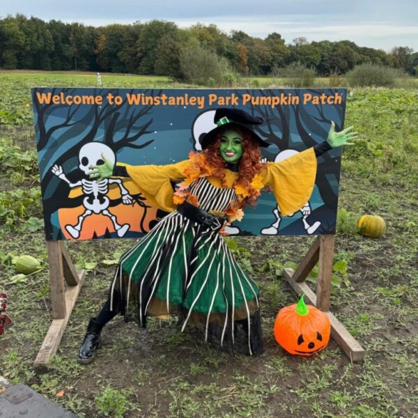 Willow's Woodland Quest