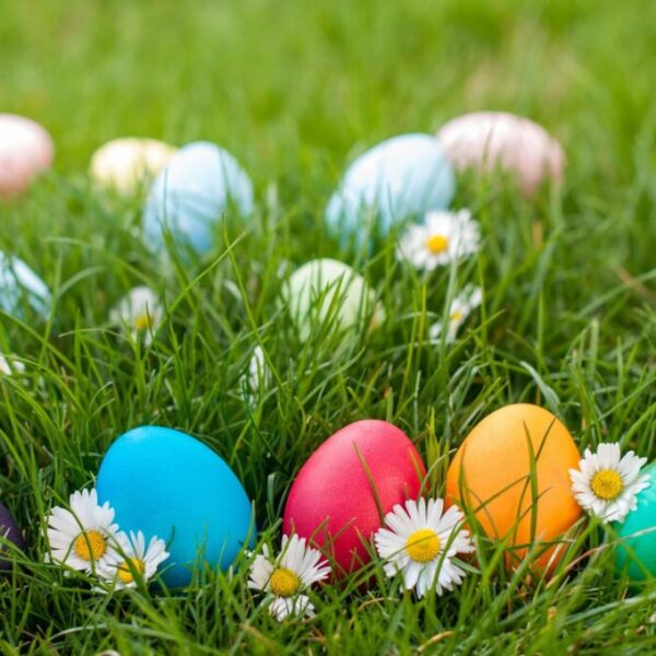 Easter Egg Hunt 2026