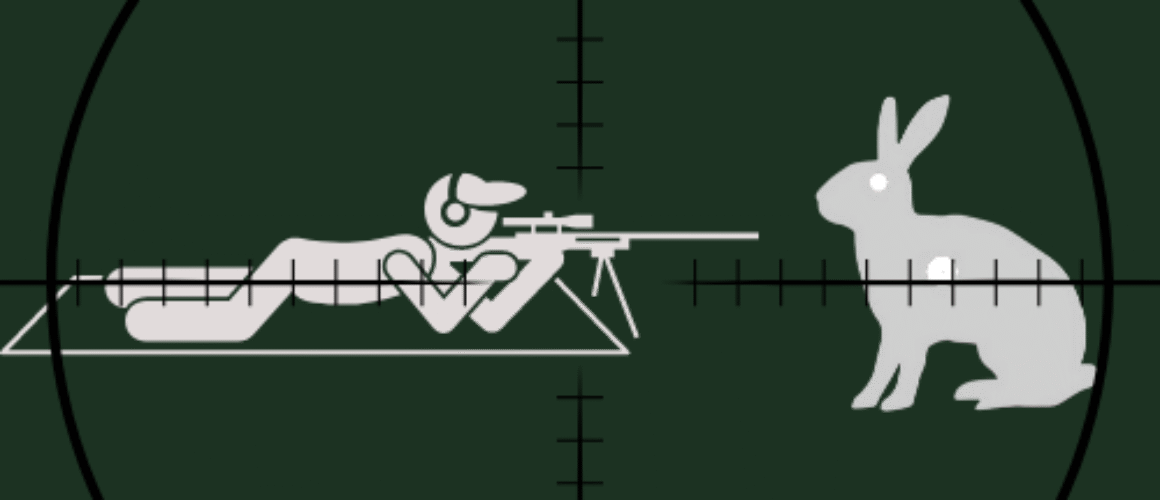 Field Target Shooting