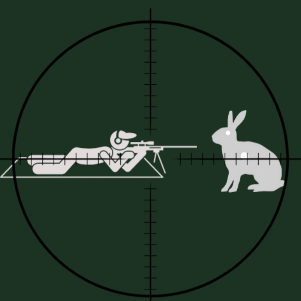 Field Target Shooting